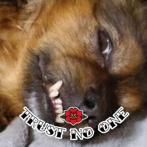 Meet your Posher, Shawn